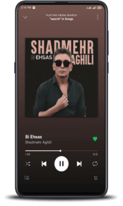خرید ردیم کد اسپاتیفای